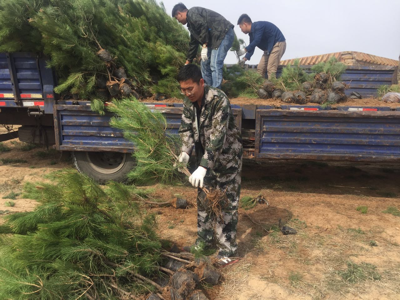 ׼�쵵���ֿ�չ��������ֲ���